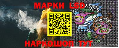 сатива Гатчина