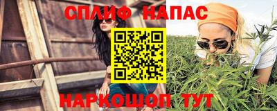 скорость Гагарин