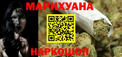 сатива Гатчина