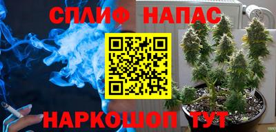сатива Гатчина