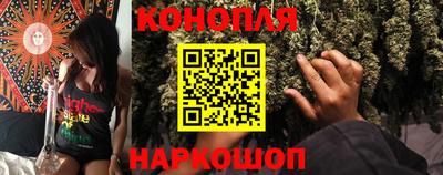 сатива Гатчина