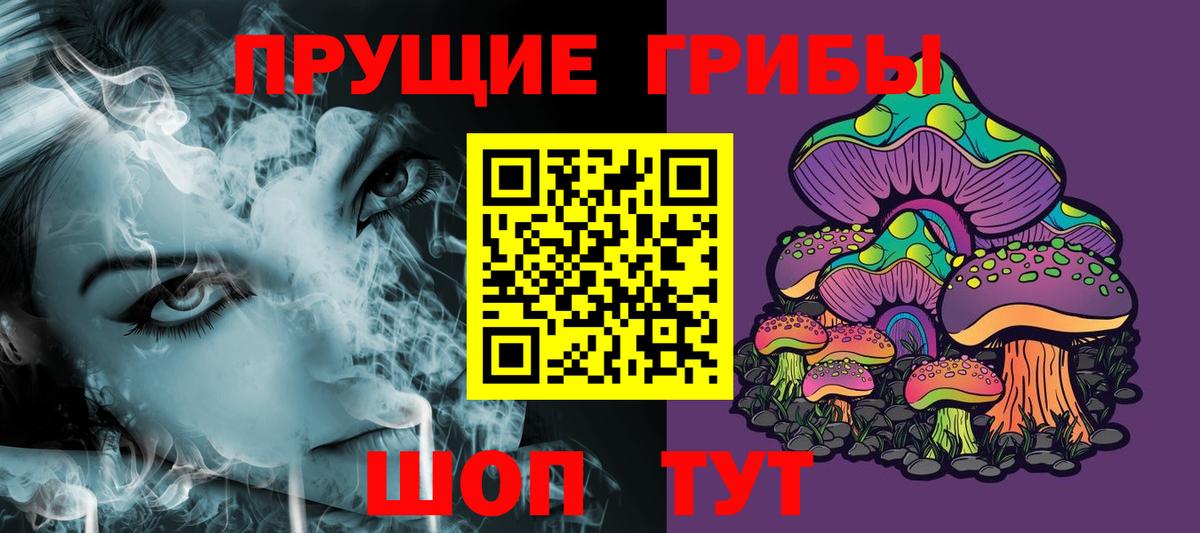 Волгодонск  Галлюциногенные грибы прущие грибы  Вход с VPN 
