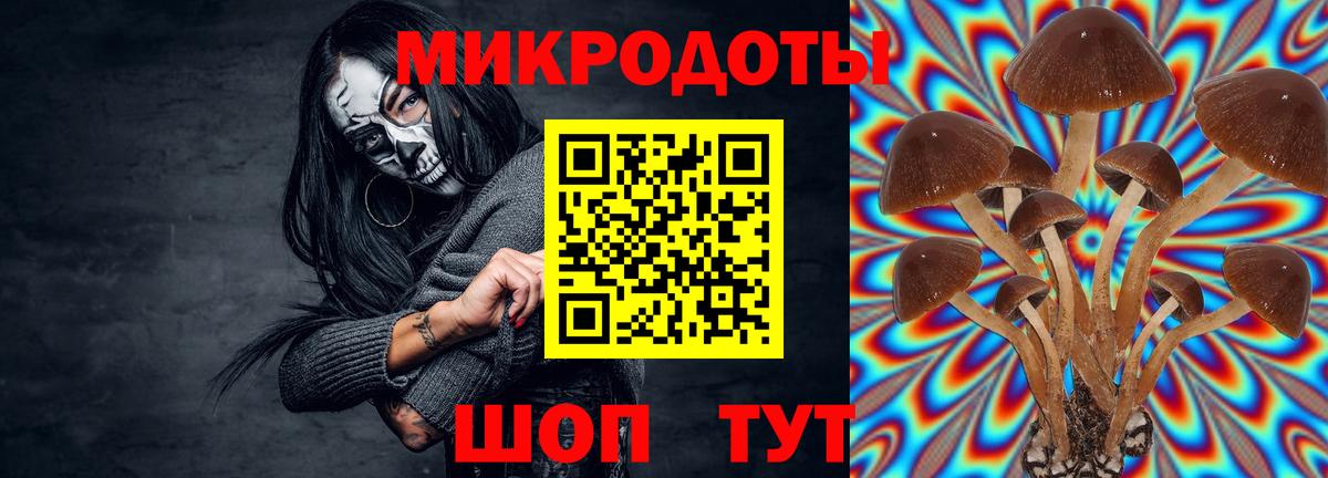 Галлюциногенные грибы прущие грибы Волгодонск